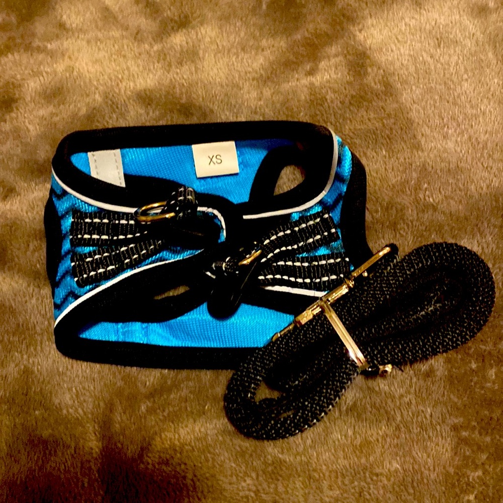 XS dog harness.